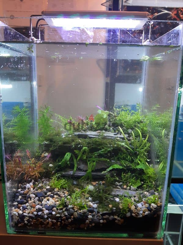 we making any types of aquarium tanks watsapp me 95286803 3