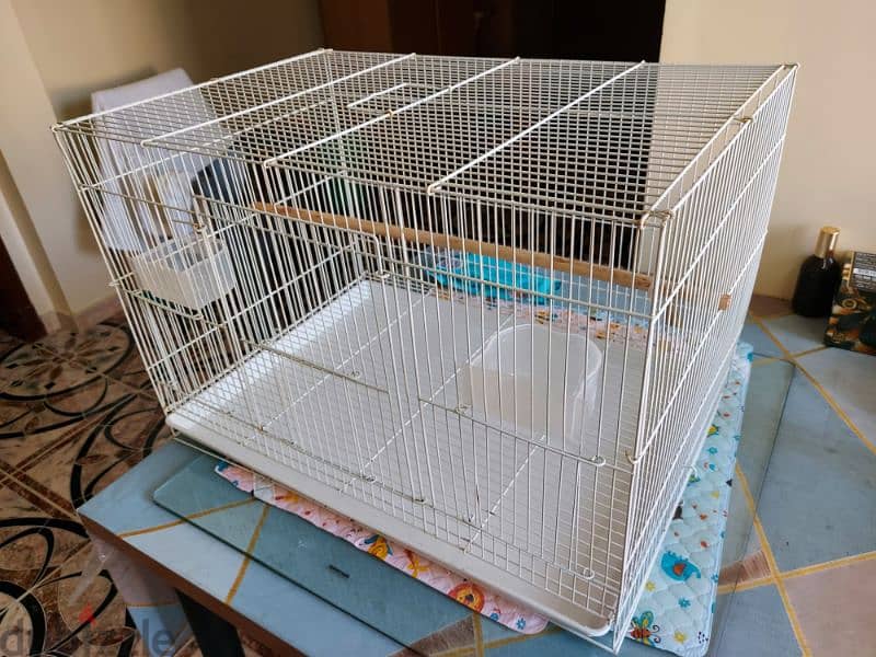 Birds cage 1