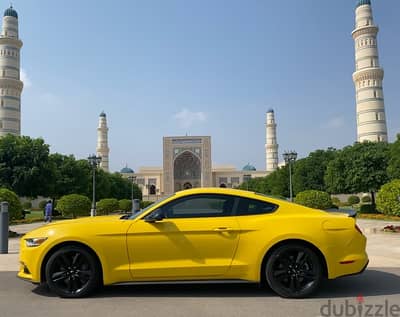 موستانج وكالة عمان mustang Oman car 2016