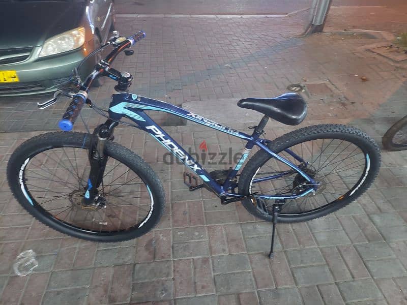 Phoenix bicycle size 29 mi whatsupp 97658846 0