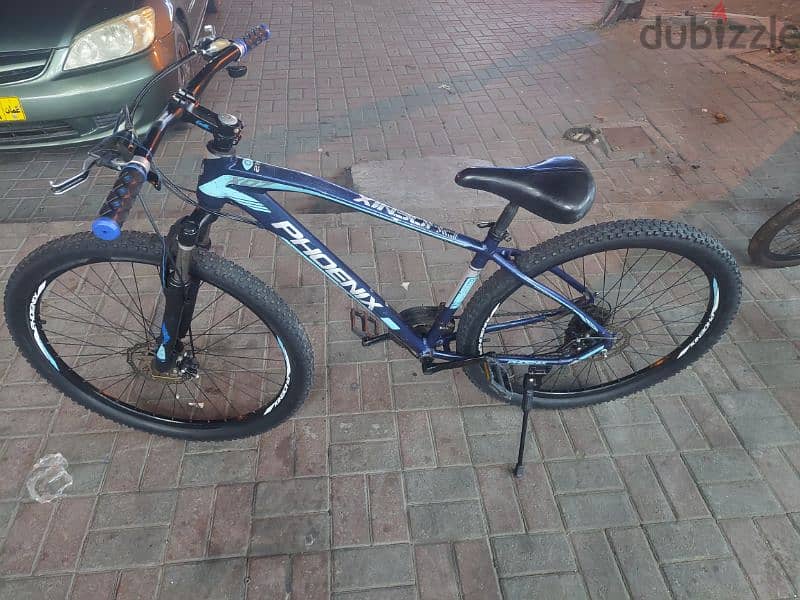 Phoenix bicycle size 29 mi whatsupp 97658846 1