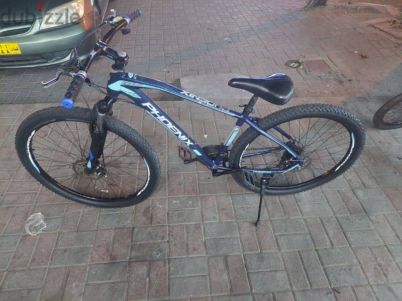 Phoenix bicycle size 29 mi whatsupp 97658846 2