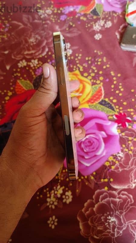 iPhone 13 pro max 256 GB ready post 11