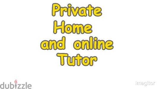 Private Home/Online Tutor (Maths and Physics)