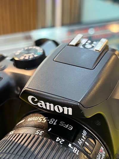 Canon 1300D & Lenses