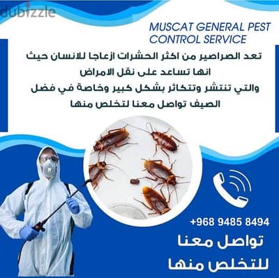 Muscat general pest control service, 9643 9513