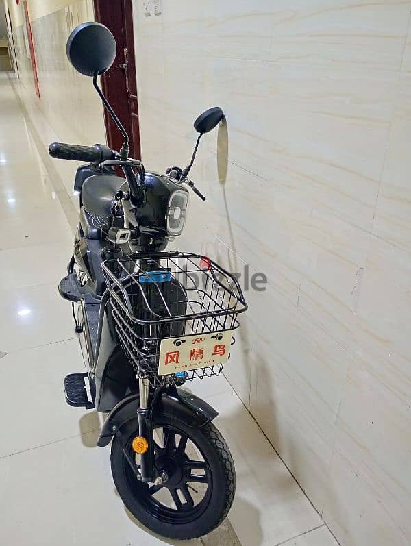 Electric Bike 2