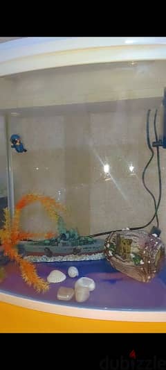 white fish aquarium with accessories 0