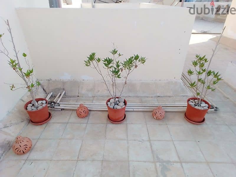 Complete Garden Set for Sale 9