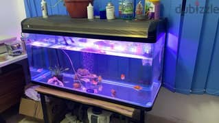 Aquarium for sale 0