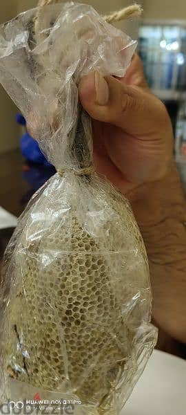 organic pure honey comb 1