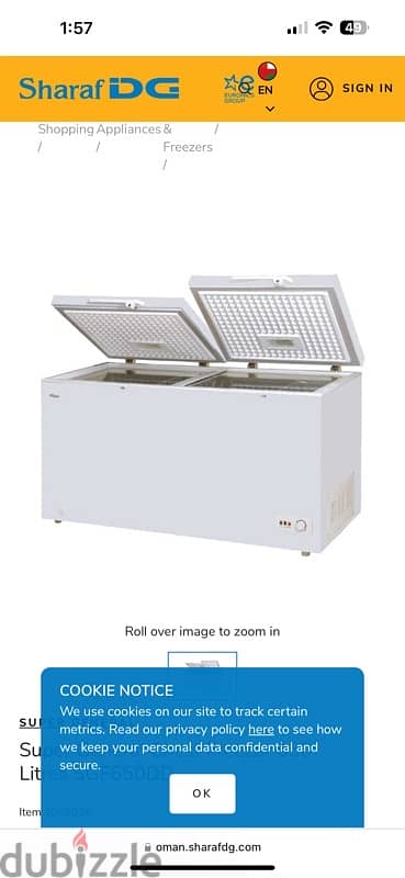 all typ of fries Machine with two big freezer semi fryer 2