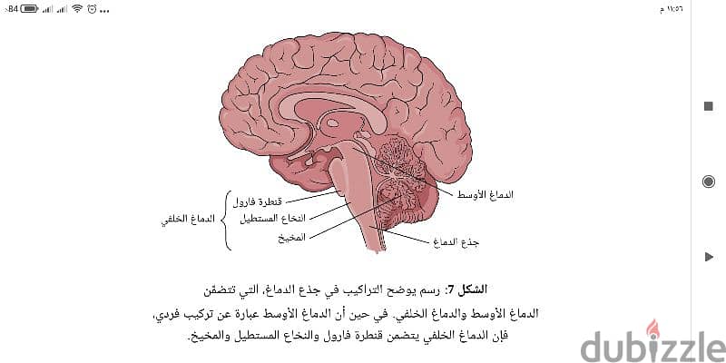 معلم أحياء 2