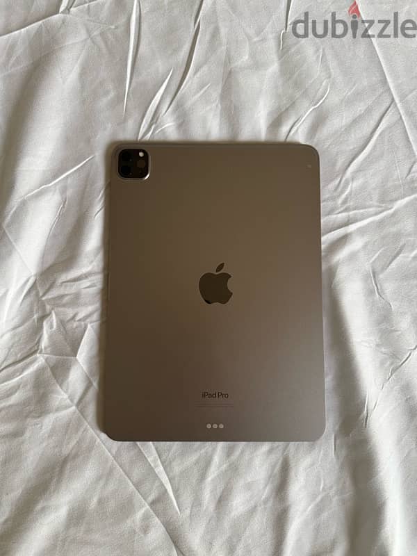 Ipad Pro 11 inch 1