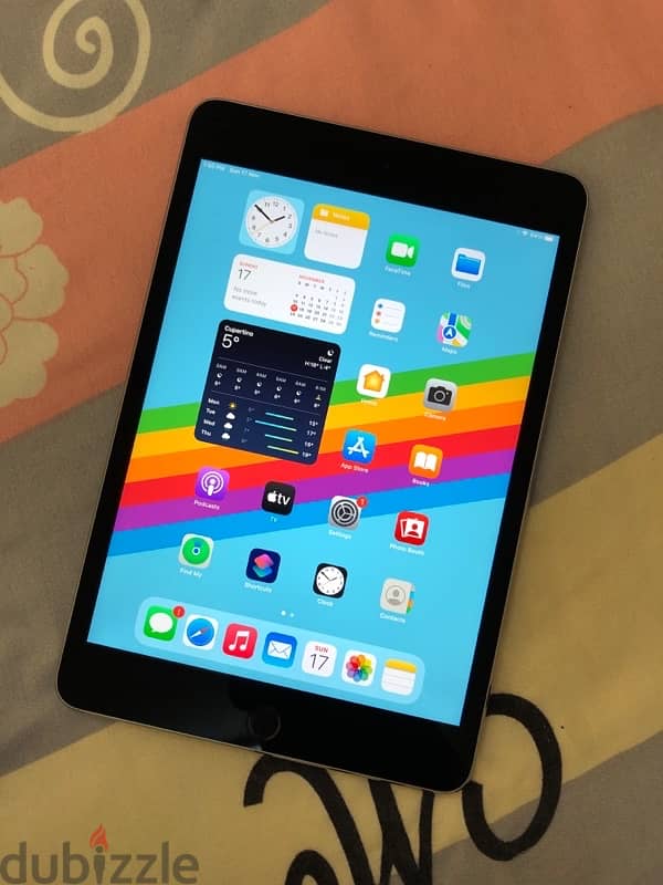 Apple iPad Mini 4 2