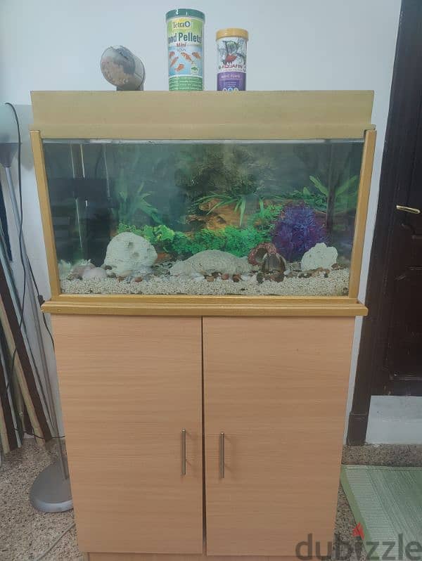 Aquarium with Accessories 0