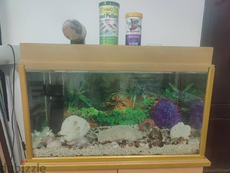 Aquarium with Accessories 1