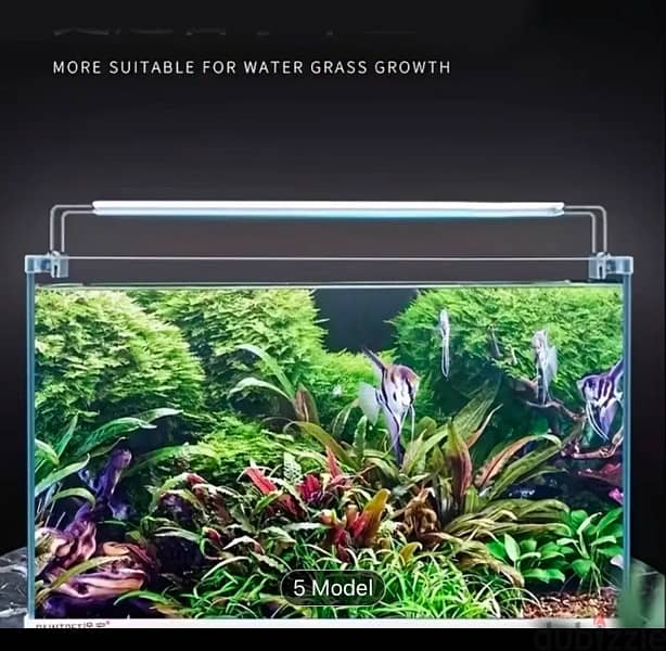 fish tank light 4