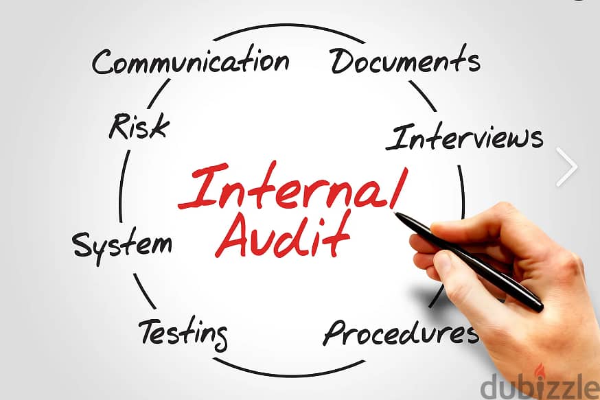 Professional Internal Audit Services 0