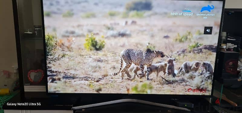 Samsung 55 inches 4k uhd led for sale 0