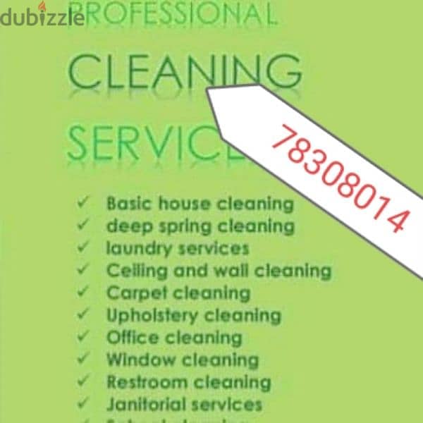 home cleaning house cleaning apartment cleaning villa cleaning flat 0