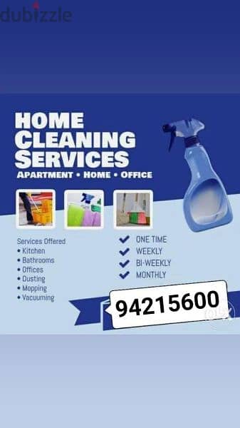 professional house, villa, building, office, school cleaning service 0