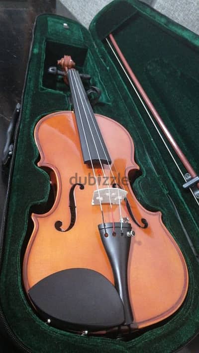 violin