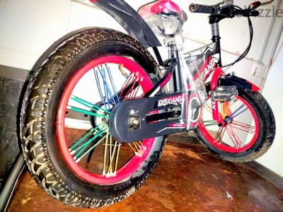 Miqi Kids Fat Bike with Big frame and Tire Size 20 (7-12yrs)