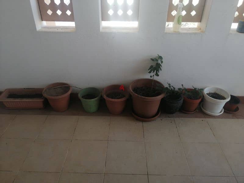 9 flower pot for sale 0