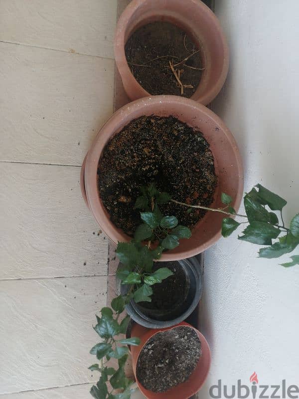 9 flower pot for sale 2