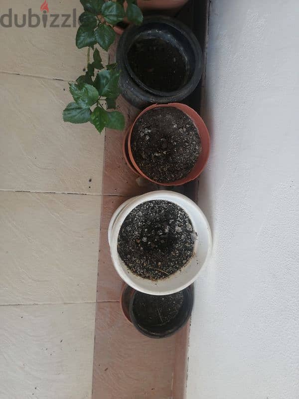 9 flower pot for sale 3