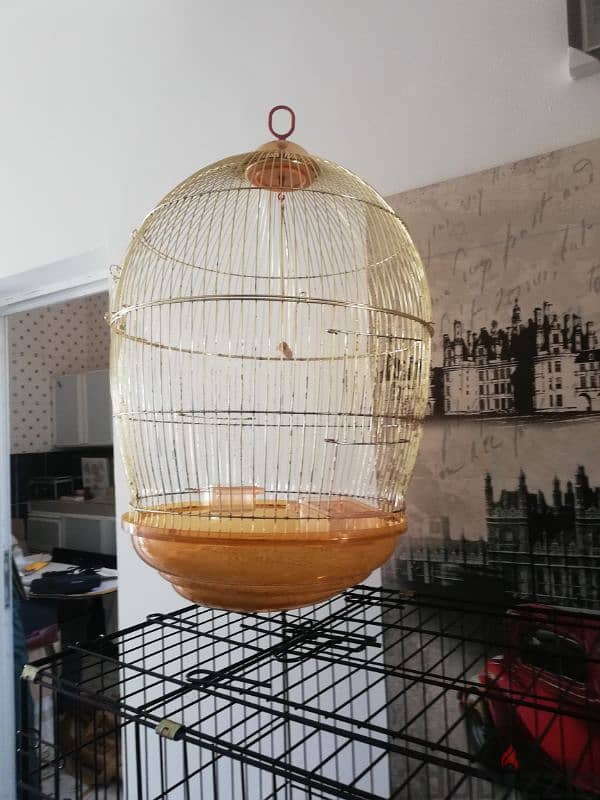 Bird Cages 3, picture frames (IKEA) 11