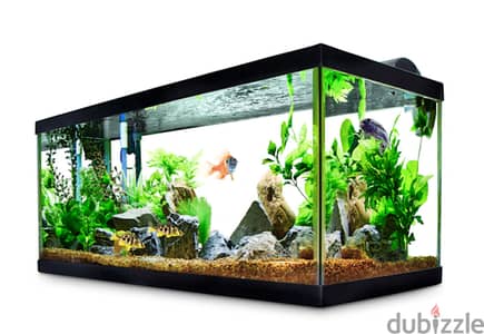 i will make custom fish tank in any size