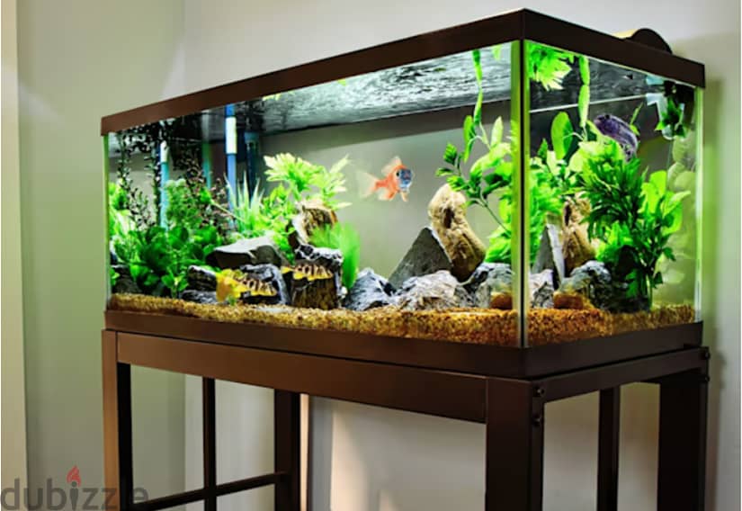 i will make custom fish tank in any size 1