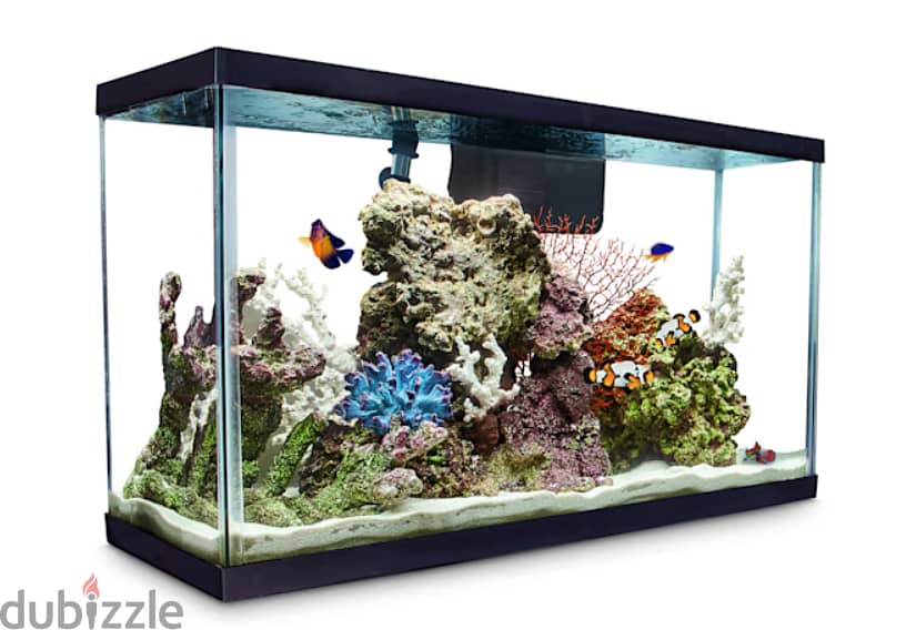 i will make custom fish tank in any size 2