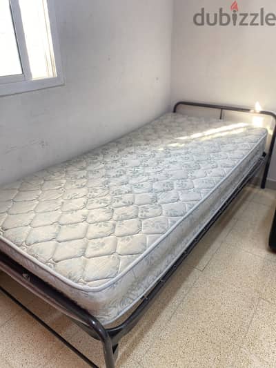 Single Bed + Mattress + FREE Curtain FOR SALE !!!!