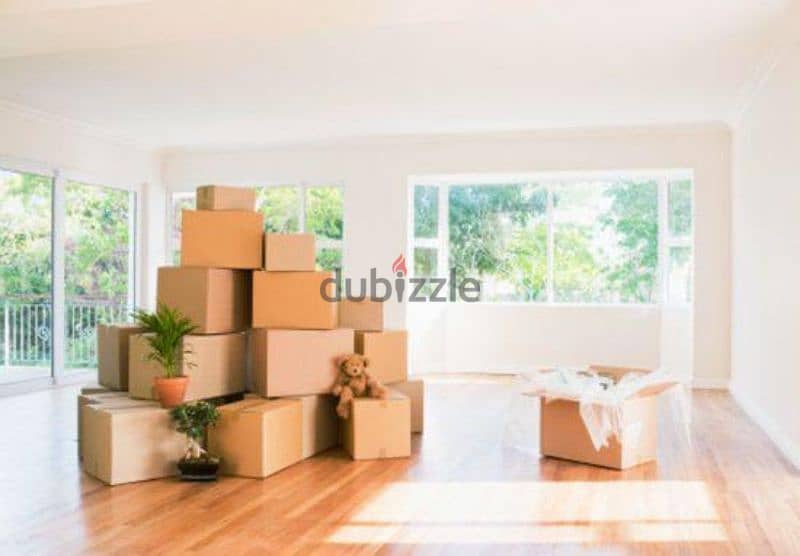 proMovers & Packers House shifting office shifting transport service n 3