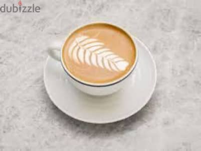 barista job wanted