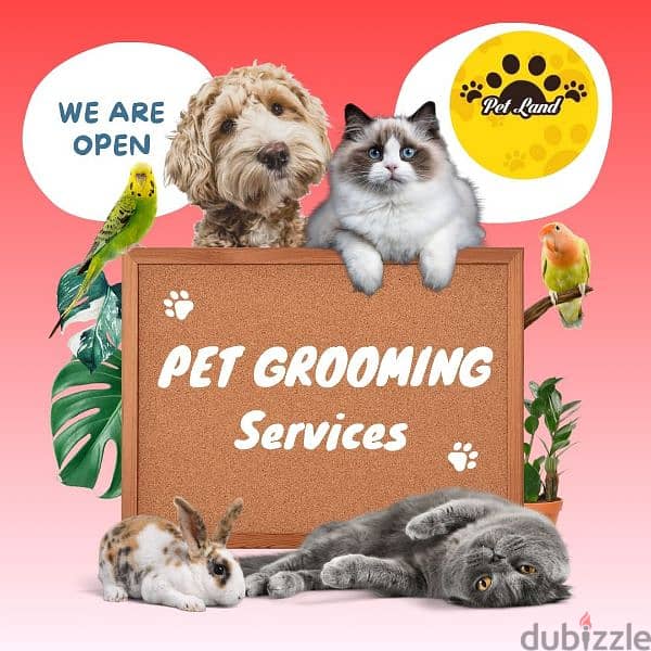 pet grooming 0