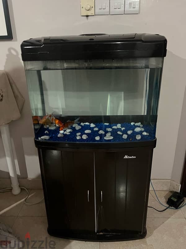 حوض سمك Aquarium 3