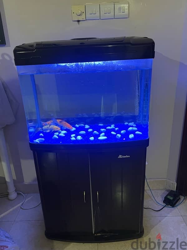 حوض سمك Aquarium 4