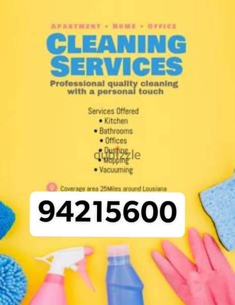 professional house, villa, building, office, school cleaning service 0