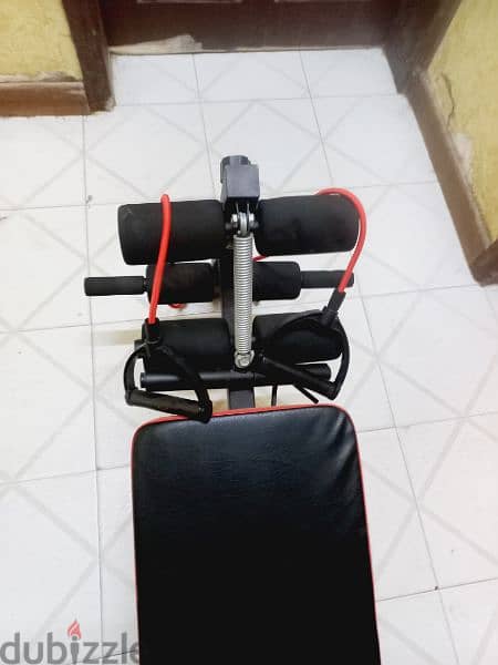 abs bench + biceps trainer 2