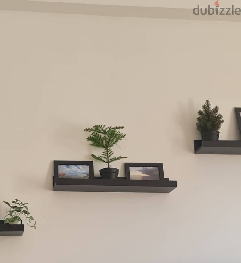 Book Case & Wall Mounted Shelves 1