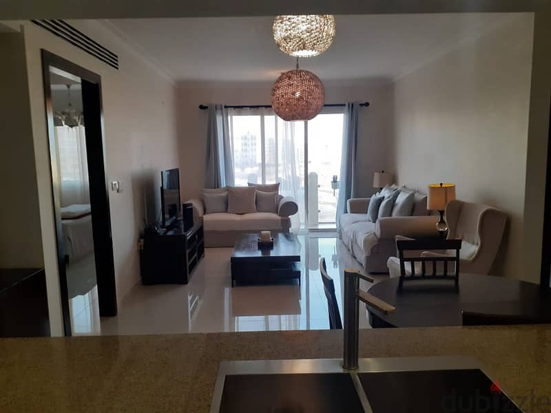 Fully Furnished Luxurious Apartment for RENT 1