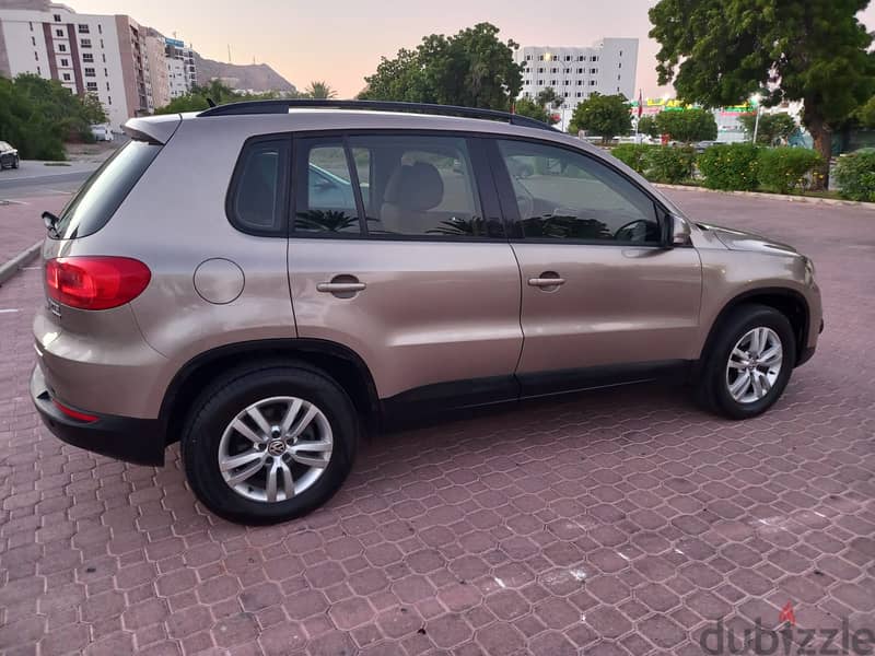 Volkswagen Tiguan 2013 0