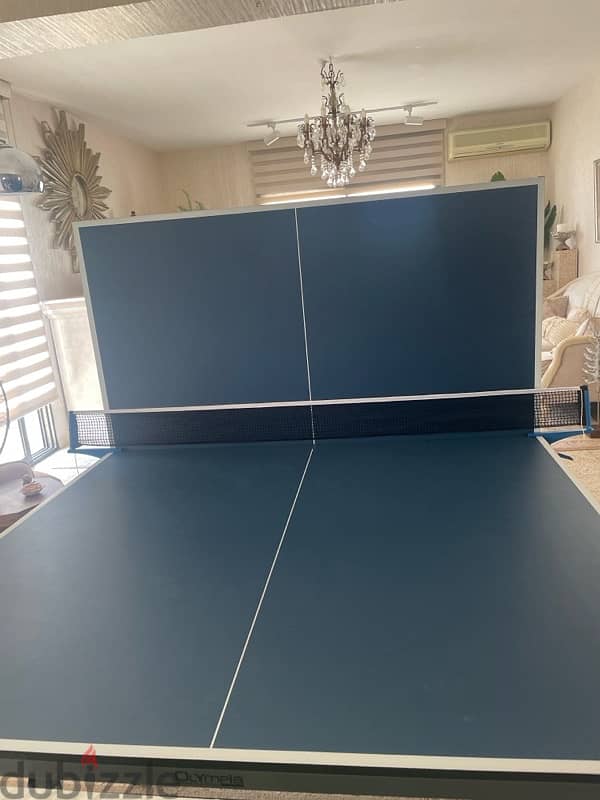 table tennis 2