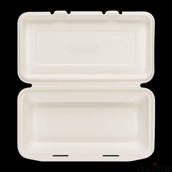 compostable plates (Made of sugar cane) 1