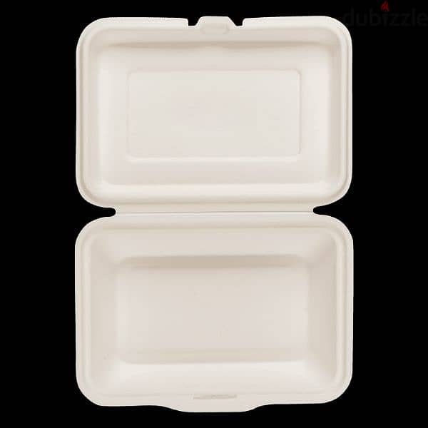 compostable plates (Made of sugar cane) 2