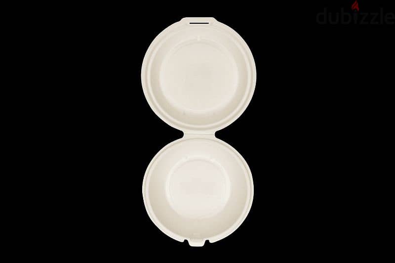 compostable plates (Made of sugar cane) 5